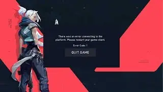 FIX: There Was An Error Connecting To The Platform VALORANT Error Code 1
