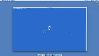 Section   4 Basic MySQL Database Administration