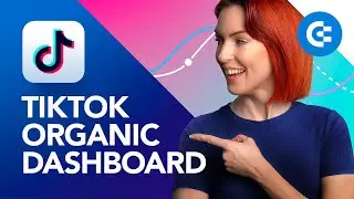 TikTok Organic Dashboard: How to Create and When to Use?