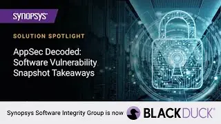 AppSec Decoded: Software Vulnerability Snapshot takeaways