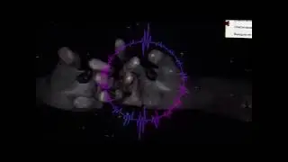 Эдит по Phasmophobia 