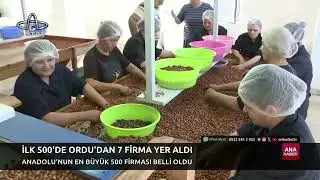 Ordu Altaş TV Ana Haber | 25 Aralık 2024
