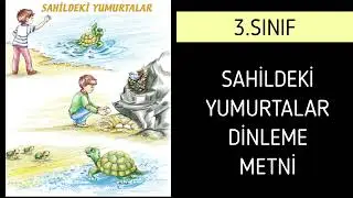 3.Sınıf Türkçe Sahildeki Yumurtalar Dinleme Metni Sayfa 217 Sonuç Yayınları