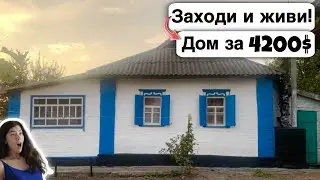 🇺🇦 Заходи и живи! Дом в селе за 4200$ Продажа недвижимости за копейки Всё есть! Уютное, тихое село