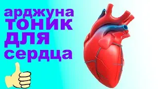 арджуна 1