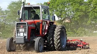 Massey Ferguson 590 cultivating the field