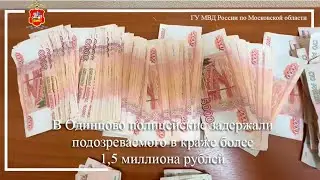 В Одинцово полицейские задержали подозреваемого в краже более 1,5 миллиона рублей