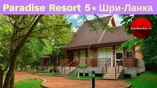 Честные обзоры отелей: Paradise Resort & Spa 5*, Дамбулла, Шри-Ланка