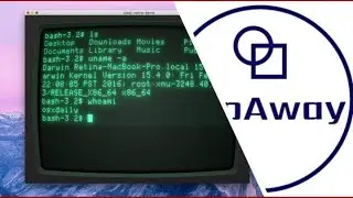 11 Terminal Commands you NEED to KNOW