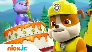 Rubble & PAW Patrol Deliver a Surprise Cake! w/ Everest & Chase | Rubble & Crew