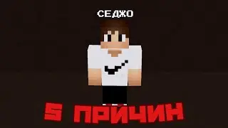 5 ПРИЧИН НЕ СМОТРЕТЬ СЕДЖО
