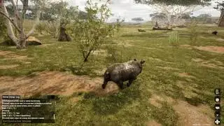 |ANIMALIA SURVIVAL| Гоняем леопардов.  [RU]TAPKIN SURVIVAL (+Slots)