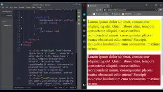 CSS Class Selector