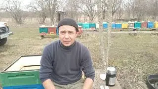 В наличии зимовалые матки