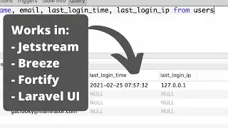 Save User Login Time/IP: Laravel Jetstream, Breeze, Fortify, UI