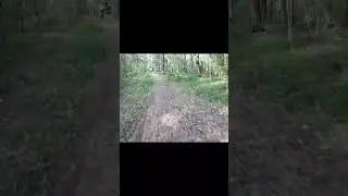 Оттянулись и высохли по полной)