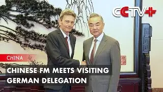 Chinese FM Meets Visiting German Delegation