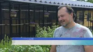 В питомнике по разведению птиц Сергея Кикинадзе проживает множество разновидностей пернатых
