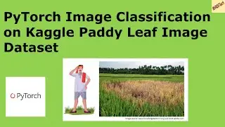 PyTorch Image Classification on Kaggle Paddy Leaf Image Dataset