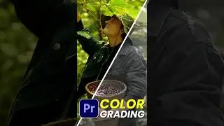 🎨Color Grading Premiere Pro 🔥#adobepremirepro  #tutorial #colorgrading