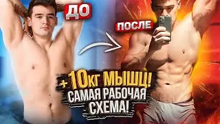 Как набрать массу?! Лучшая программа тренировок!