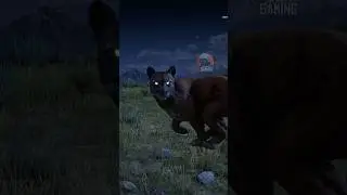 RDR2 Highlights : 5 Missed Details Part 24 