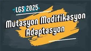 Mutasyon Modifikasyon Adaptasyon | 8. Sınıf 