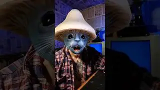 blue smurf cat where did the meme come from🙀🍄?