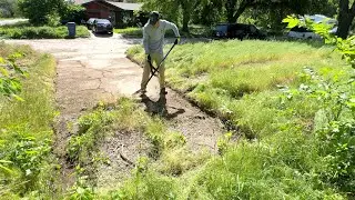 The neighbor told me I was WASTING MY TIME cleaning up this forgotten home