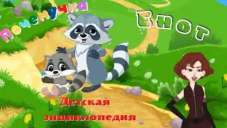 0+ Интересные факты о енотах. Почемучка. Детская энциклопедия.