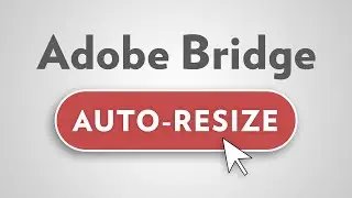 Automatically Resize Multiple Images | Adobe Bridge