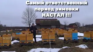 Самый ответственный период зимовки настал !!!