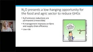 How can we quantify and reduce agricultural N2O emissions at scale?