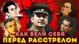 Ежов, Тухачевский, Зиновьев, Берия -  как они вели себя перед расстрелом?