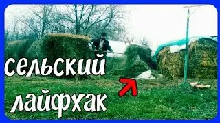 сколько сена нужно корове//мои запасы на зиму//опять переделал стойла