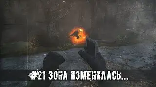 DAYZ STALKER RP | ДЕЙЗИ СТАЛКЕР РП | ЗОНА МЕНЯЕТСЯ... | STALKER RP | СТАЛКЕР РП | ROLEPLAY | DAYZ