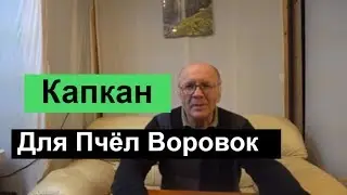 №108 Капкан Для Пчёл Воровок | Пчеловодство