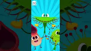 I'm the insect hunter!😎 | Carnivorous Plants | Round leaved sundew | Kids Song | TOMTOMI