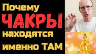 Почему ЧАКРЫ находятся именно там, а не в других местах