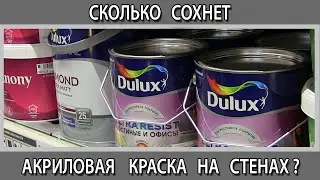 Сколько сохнет моющаяся акриловая краска на стенах через какое время её можно мыть?