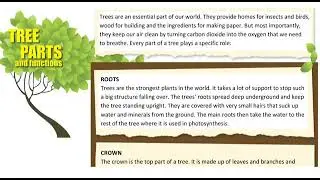 Excel 8.Module 6f.For Kaz/Tree Parts & Functions. Text p.72