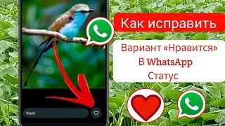 Как исправить ошибку, из-за которой кнопка «Нравится» в статусе WhatsApp не отображается