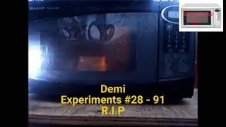 Microwave Me: Demi's Funeral Video