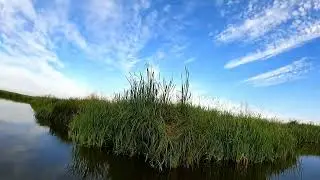 Открытие сезона охоты Осень 2022