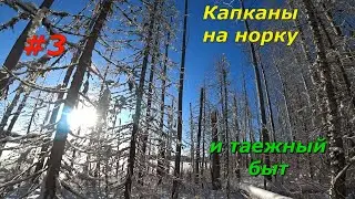 В тайгу на 4 дня/добавили капканы на норку/таёжный быт/3 серия