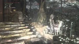 Unable to finish Bloodborne playthrough