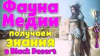 Фауна Медии в Black Desert: получаем знания