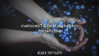 cvetocek7 & beatzbybchkrv - Незабудка (Текст)