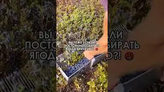 😱 Вы тоже устали постоянно собирать все ягоды вручную?! 
