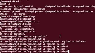 nginx location vcProgrammer